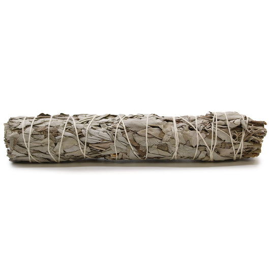 Smudge Stick - Witte Salie 22,5cm