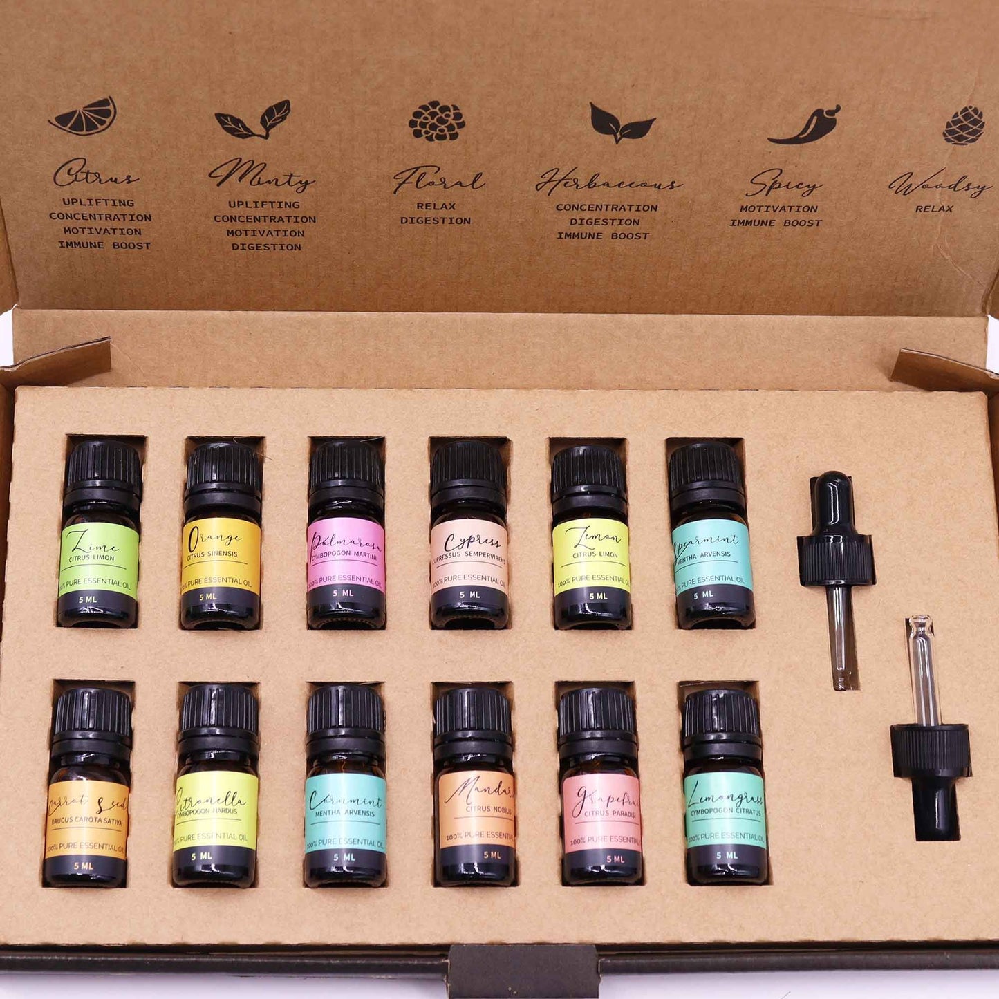 Aromatherapy Etherische Oliën Set – Zomer | 12 Frisse Oliën