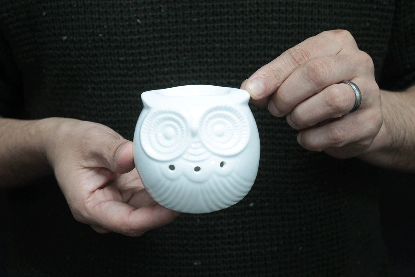 Klassieke Witte Oliebrander - Kleine Uil