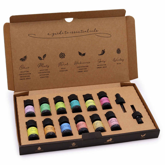 Aromatherapie Essentiële Oliën Set - Top 12
