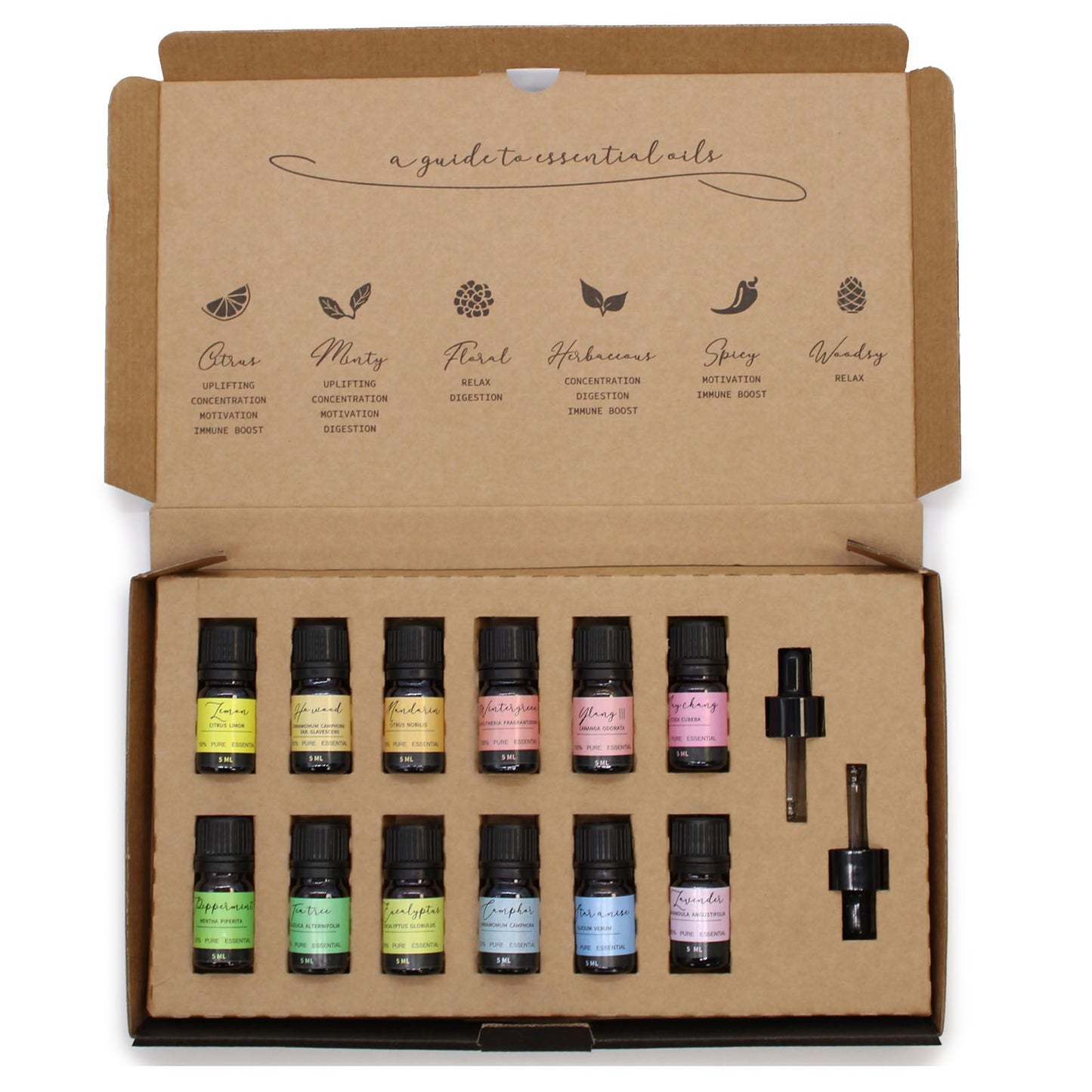 Aromatherapy Etherische Oliën Set – Starterspakket | 12 Pure Oliën