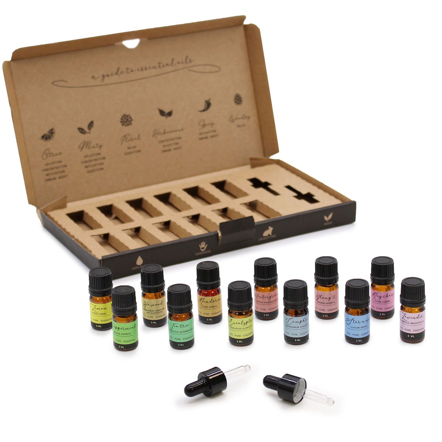 Aromatherapy Etherische Oliën Set – Starterspakket | 12 Pure Oliën