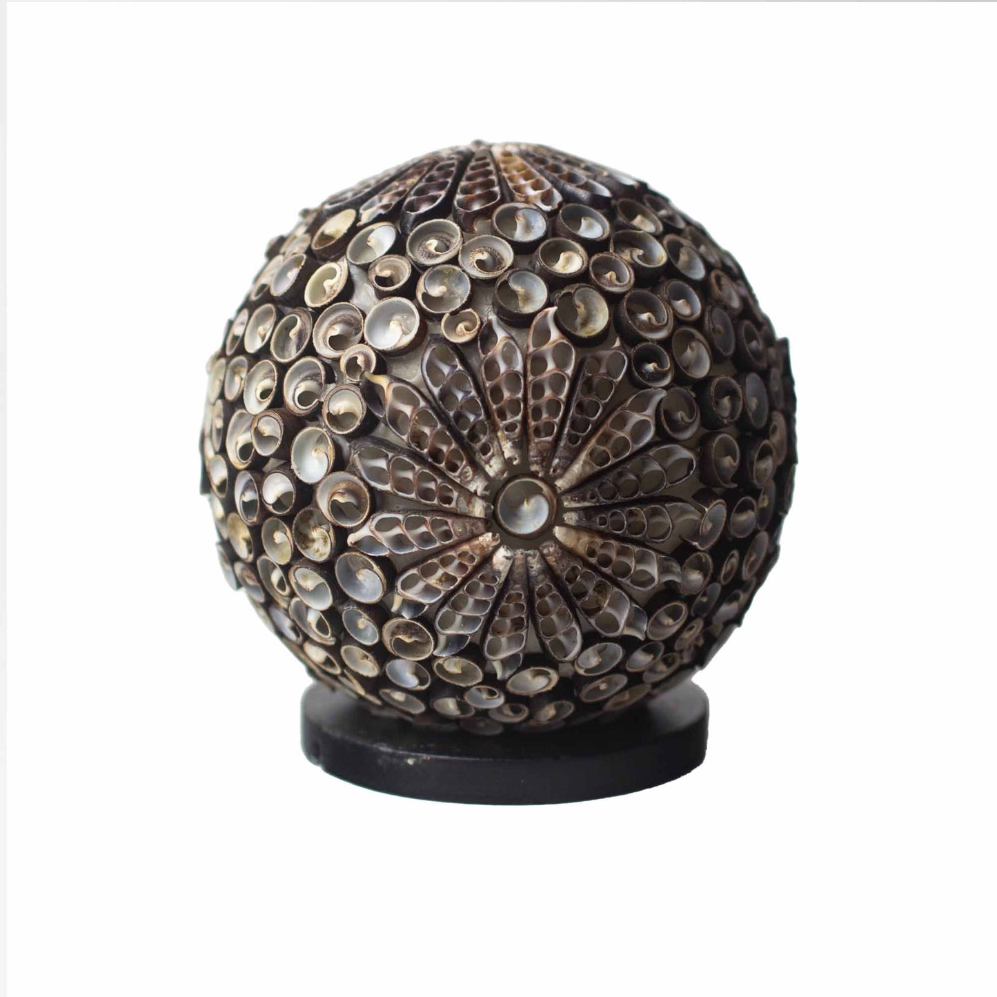 Boho Schelpen Lamp – Chocolate Twist Globe | 15cm